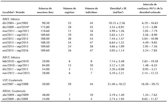 Densidad estimada de Oreophasis derbianus en localidades de M&eacute;xico y Guatemala con base en la teor&iacute;a del muestreo de distancias (Buckland et al. 1993, 2004). En general, los periodos corresponden al ciclo anual de la especie a partir de su temporada reproductiva (octubre-mayo) a la no reproductiva (junio-septiembre) observado en la Reserva de la Biosfera El Triunfo. Localidades: Reserva de la Biosfera El Triunfo, RBET; Reserva de la Biosfera Volc&aacute;n Tacan&aacute;, RBVT; Volc&aacute;n San Pedro, VSP; Reserva de la Biosfera Sierra de las Minas, RBSM. El n&uacute;mero de registros hace referencia a grupos de individuos