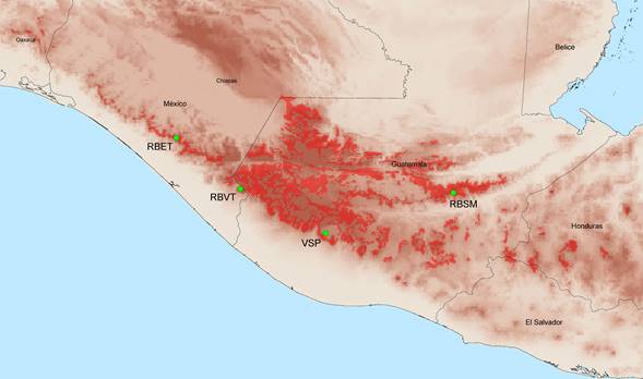 Ubicaci&oacute;n de los sitios de estudio en M&eacute;xico y Guatemala (puntos verdes: Reserva de la Biosfera El Triunfo, RBET; Reserva de la Biosfera Volc&aacute;n Tacan&aacute;, RBVT; Volc&aacute;n San Pedro, VSP; Reserva de la Biosfera Sierra de las Minas, RBSM). El pol&iacute;gono rojo representa el modelo de distribuci&oacute;n potencial de Oreophasis derbianus (Mart&iacute;nez-Morales et al. 2013) y en ocre se ilustra el modelo digital de elevaci&oacute;n.