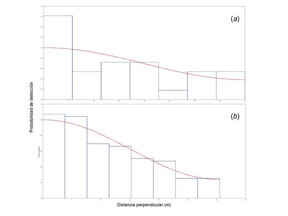 Probabilidad de detecci&oacute;n de Oreophasis derbianus en la Zona N&uacute;cleo I de la Reserva de la Biosfera El Triunfo, en funci&oacute;n de sus distancias perpendiculares de detecci&oacute;n. La figura a deriva de los datos tomados antes del taller de capacitaci&oacute;n al personal de la RBET (dic/2009 - oct/2010) y la figura b de datos generados posterior al taller (mar/2011 - sep/2016). La funci&oacute;n de detecci&oacute;n (uniforme con ajuste coseno de primer orden) tiene un mejor ajuste a los datos emp&iacute;ricos despu&eacute;s de la capacitaci&oacute;n del personal encargado de la toma de datos en campo.