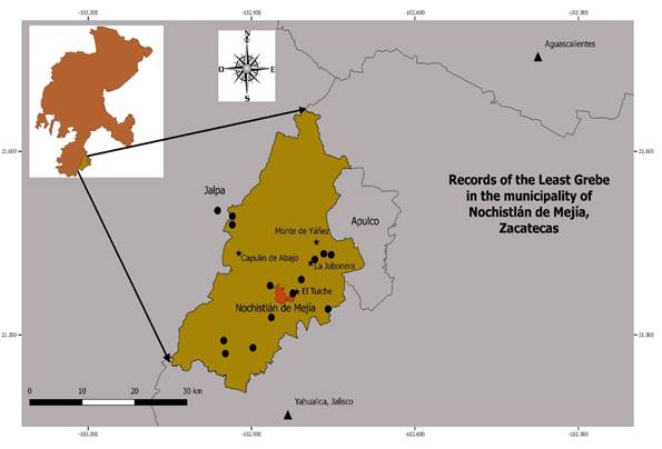 Study area. Stars represent the four sites where Least Grebe were observed breeding (Capulín de Abajo, Monte de Yáñez, El Tuiche and La Jabonera). Dots represent additional sites where the Least Grebe were recorded in the municipality. Diamond represents a record in the municipality of Jalpa, and triangles represent the nearest sites in Jalisco and Aguascalientes where the Least Grebe has been recorded.