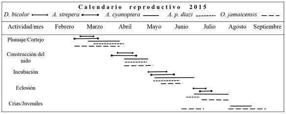 Calendario reproductivo de los anátidos reproductivos en la Laguna de Zumpango, las fechas corresponden al periodo de anidación de la temporada del 2015.