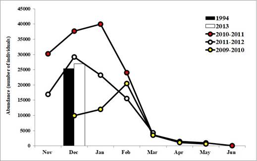 Comparison of American Avocets wintering numbers in Marismas Nacionales, Nayarit. This study (red circles), Ortega-Solís (yellow circles), Carmona et al. 2012 (white circles), Morrison et al. 1994 (black bar), Carmona and Danemann 2013 (white bar).