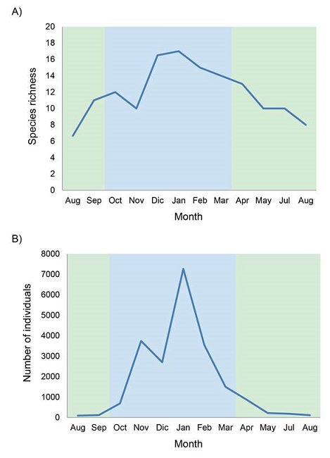 Species richness (A) and abundance of individuals (B) observed in the artificial wetland “Bordo las Maravillas”, Mexico State. The green shading indicates the reproductive period and the blue one, the wintering period.