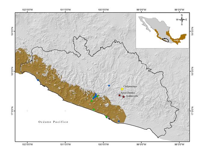 Distribución del tinamú canelo (Crypturellus cinnamomeus) en Guerrero; el área de distribución potencial (Navarro-Sigüenza y Peterson 2007) en color café. Los registros tomados de Global Biodiversity Information Facility (2017) en círculos color verde, los registros de eBird (2017) en círculos color azul y los registros de Azinyahualco y Acahuizotla representados con una estrella.