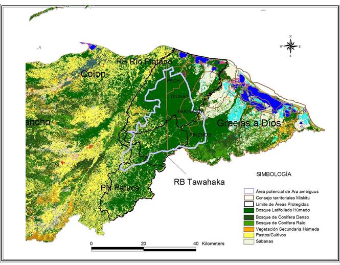 Mapa del área potencial de distribución de la Guara Verde con los tipos de vegetación en la región de la Moskitia hondureña. (Se sugiere iniciar un programa de monitoreo para verificar su presencia en otros ambientes con hábitat primario.)