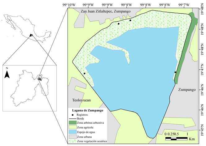 Ubicación geográfica de la Laguna de Zumpango, Estado de México. Se incluyen los registros puntuales (puntos negros) en los sitios donde fueron observados los individuos de las aves acuáticas con leucismo parcial.