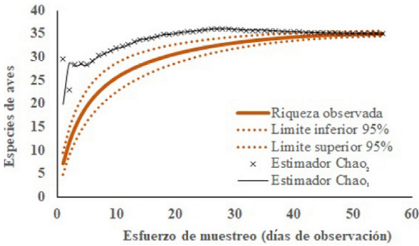 Curva de acumulación de especies de aves en el ejido Acolihuia, en función de los días de observación. Se muestran los intervalos de confianza al 95% y los estimadores no paramétricos Chao1 y Chao2. 
