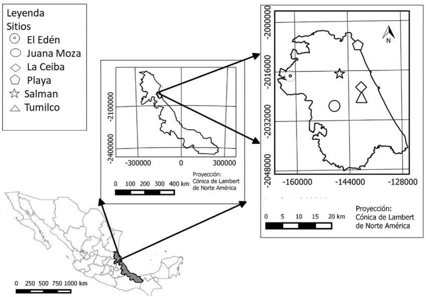 Ubicación de los sitios de muestreo en el municipio de Tuxpan,
								Veracruz, México (periodo agosto 2014-marzo 2015).