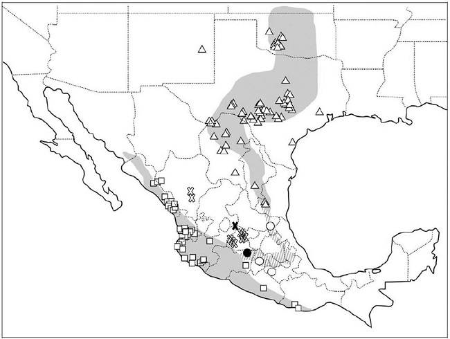 Mapa de ocurrencia de Vireo atricapilla. La cruz negra indica nuestra observación y las cruces sin rellenar otros registros recientes. Los otros símbolos son registros reportados en MacGregor et al. (2012), cuyo mapa se tomó de base.