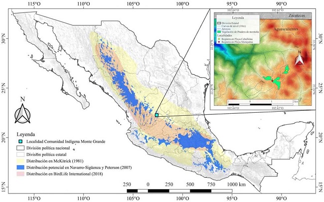 Distribución del zacatonero rayado (Oriturus superciliosus) en México (Escala 1:9,000,000). En la esquina superior derecha se muestran las dos localidades con registro de la especie en el ejido de la comunidad indígena Monte Grande, Sierra Fría, San José de Gracia, Aguascalientes (Escala 1:20,000).