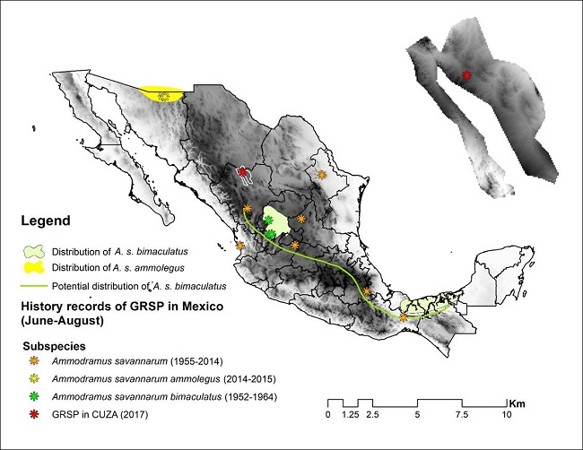 History records of Grasshopper Sparrow in Mexico (June to August). Data of https://www.gbif.org/, Ornis.org, https://ebird.org/home.