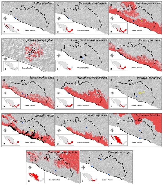 Distribución potencial de las aves registradas en este estudio. En color rojo se muestra la distribución en: a) México y b) el estado de Guerrero (Navarro-Sigüenza y Peterson 2007n). Los registros obtenidos en este estudio se indican con un círculo en azul; los registros con círculos amarillos se obtuvieron del Atlas de las Aves de México (Navarro-Sigüenza et al. 2003); los registros con cuadros azules de eBird (2018); los registros con círculos negros del GBIF (2018) y los triángulos en negro corresponden de literatura científica.
