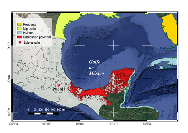 Distribución observada (BirdLife International 2016) y potencial (Navarro y Peterson 2007) del chipe de pradera (Setophaga discolor) en el Golfo de México. Con una estrella roja, se muestra el sitio donde hemos observado a la especie en Puebla.