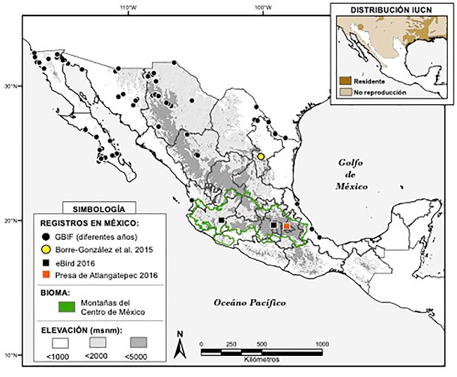 Registros de Haliaeetus leucocephalus en la República Mexicana y ubicación del nuevo registro en Tlaxcala, México.