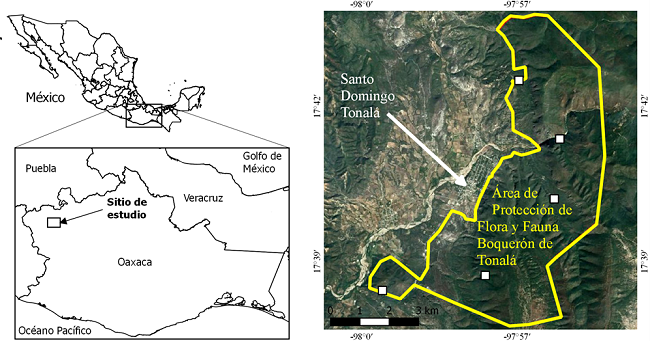 Área de estudio y ubicación de las siete cámaras-trampa, en cinco estaciones de fototrampeo (cuadros blancos) para el estudio de los patrones de actividad de Ortalis poliocephala en la región de la Mixteca, Oaxaca, México (Fuente Google Earth®).