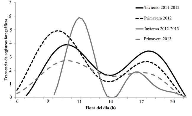 Frecuencia de individuos activos de Ortalis poliocephala por hora del día en dos temporadas (invierno y primavera) 2012 y 2013 en la región de la Mixteca, Oaxaca, México (significancia del periodograma P = 0.05).