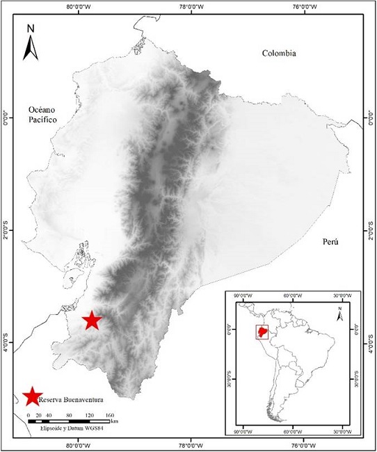 Ubicación del área de estudio en la Reserva Buenaventura, provincia de El Oro, Ecuador (mapa: Mateo Vega).