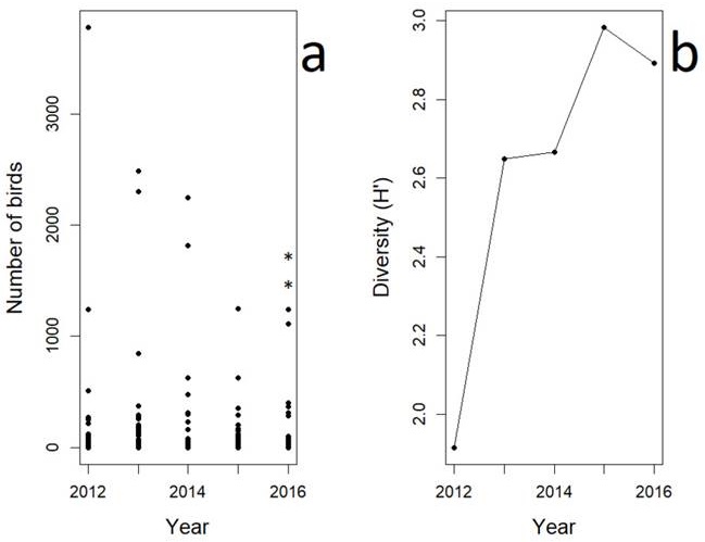 The abundance (a) and diversity (b) of the avian community of the shoreline of Isla del Carmen over a five-year sampling period. In (a), the black dots are counts of the different species in the study area, while the stars over the dots show significant differences in the annual abundance (P < 0.05). In (b), the black dots are the estimated values of H&rsquo;.
