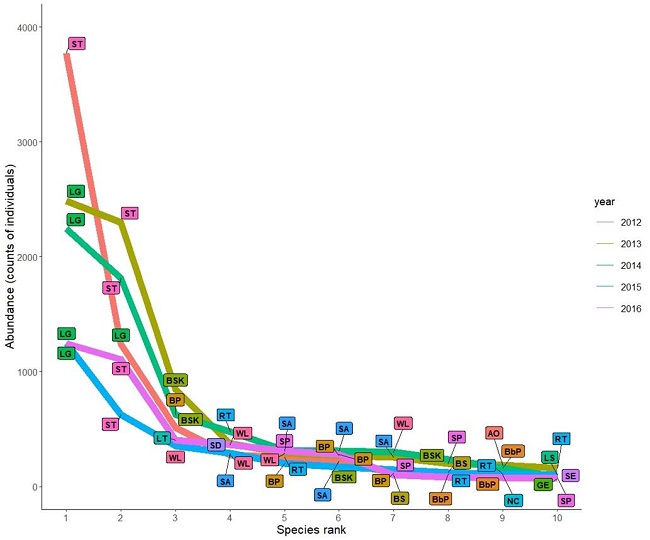 Rank plot of the ten	most abundant bird species per year in the shoreline of Isla del Carmen. Each colored 
							line represents a sampling year	(2012-2016). The thinner black lines show the true position of 
							each label. The bird species in the plot are: Sandwich tern (ST), Laughing gull (LG), Black 
							skimmer (BSK), Brown pelican (BP), Least tern (LT), Willet (WL), Royal tern (RT), Short-billed 
							dowitcher (SD), Sanderling (SA), Semipalmated plover (SP), Black-necked stilt (BS), American 
							oystercatcher (AO), Black-bellied plover (BBP), Great egret (GE), Snowy egret (SE), 
							Neotropical cormorant (nc), Least sandpiper (LS).