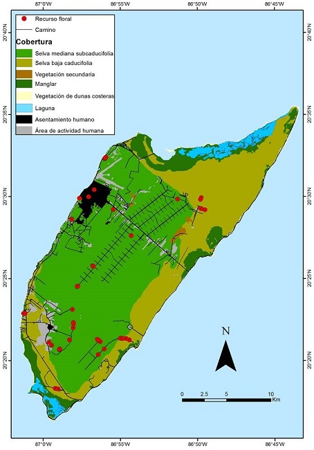 Registro de los recursos florales usados por Chlorostilbon forficatus en isla Cozumel obtenidos en campo y de la base de datos Naturalista. Se muestran los principales tipos de cobertura vegetal de la isla y la ubicación de las áreas de influencia humana.