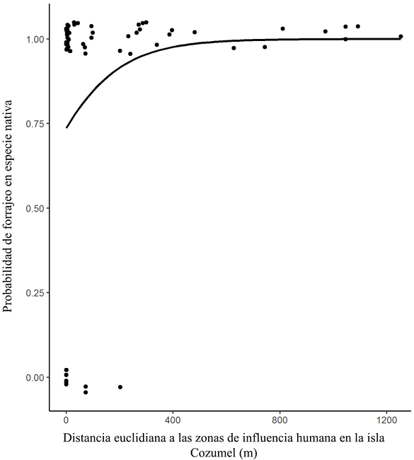 Modelo de la probabilidad de eventos de forrajeo de Chlorostilbon forficatus en especies vegetales nativas (puntos negros alineados en “1”) y exóticas (puntos negros alineados en “0”) en la isla Cozumel en función de la distancia euclidiana a las zonas de influencia humana en la isla. La probabilidad la estimamos a través de un GLM con distribución de error binomial.