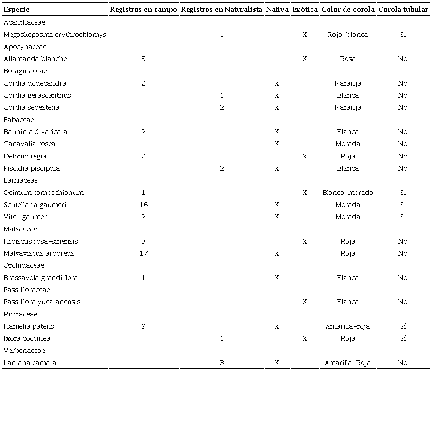 Número de registros de las especies vegetales visitadas por el colibrí esmeralda de Cozumel (Chlorostilbon forficatus). Se especifica si las especies vegetales son nativas o exóticas a la isla, así como el color de la corola y si ésta presentaba forma tubular.