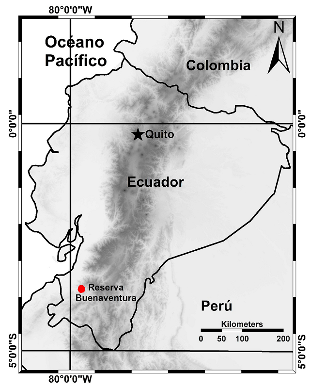 Ubicación del sitio donde se observó el evento de depredación de Attila torridus sobre Anadia buenaventura en la Reserva Buenaventura, provincia de El Oro, Ecuador.