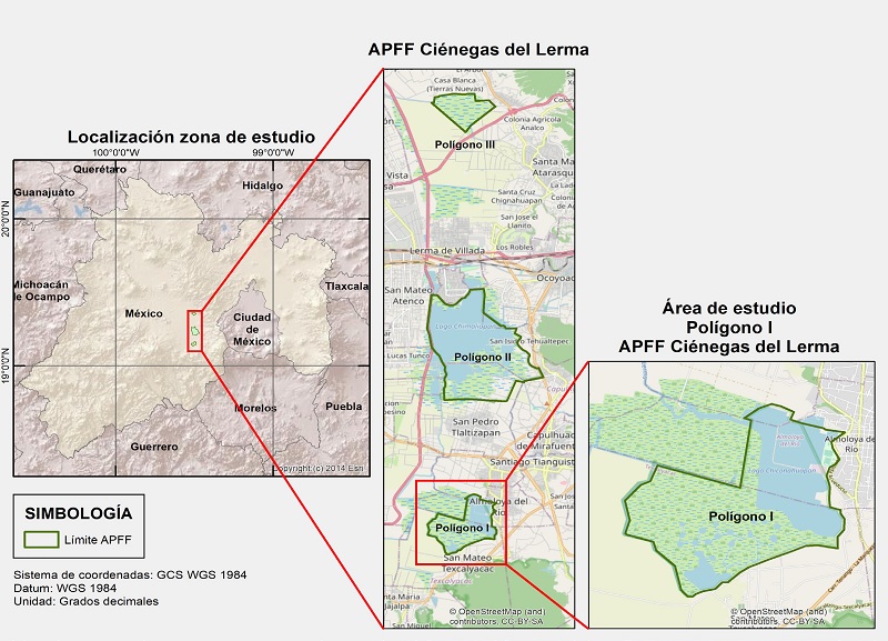 Ciénegas del Lerma que muestra los tres vasos lacustres. El presente estudio se realizó solo en el vaso sur (Polígono I: Laguna de Chiconahuapan), Estado de México.
