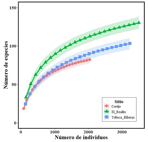 Curvas de rarefacción basada en individuos representando la riqueza de especies para los sitios de muestreo El Realito, Tolteca-Riberas y Cortijo en el Río La Silla. La región transparente representa el intervalo de confianza para cada sitio