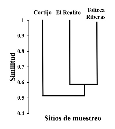 Análisis de agrupamiento con base en el índice de similitud de Jaccard para los tres sitios de muestreo: El Realito, Tolteca-Riberas y Cortijo.