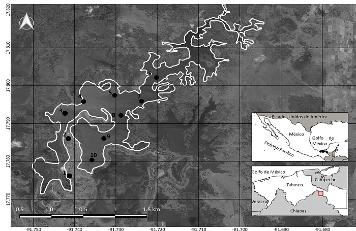 Localización geográfica del humedal Chaschoc en el estado de Tabasco, México. La línea blanca representa el polígono de la laguna Chaschoc. Los sitios de monitoreo están representados por los puntos en negro.