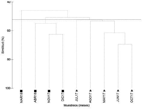 Dendrograma de la avifauna del sitio arqueológico Iglesia Vieja construido con datos mensuales. La línea de corte fue colocada a una similitud del 52%. Meses de secas (■), meses de lluvias (▲)