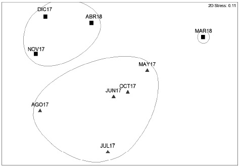 Ordenación NMDS de los eventos de muestreo en el sitio arqueológico Iglesia Vieja. Las elipses indican los grupos formados a una similitud de 52%. Meses de secas (■), meses de lluvias (▲)
