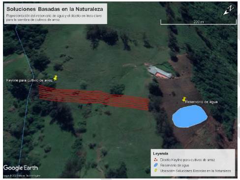 Reservorio de agua y dise�o en l�nea clave para siembra de cultivos de arroz. 