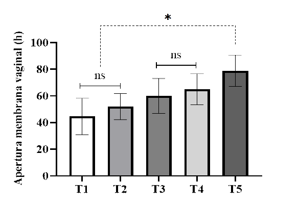 4. Media y error estándar de horas trascurridas desde el retiro de la progesterona (día 15) hasta la apertura de la membrana vaginal en los diferentes tratamientos. T1= 0,33mg/kg. T2=0,28mg/kg. T3=0,22mg/kg. T4=0,17mg/kg. T5=0,11mg/kg. ns=No hay diferencia entre tratamientos. *=diferencia entre tratamientos. Prueba de Tukey al 5%.