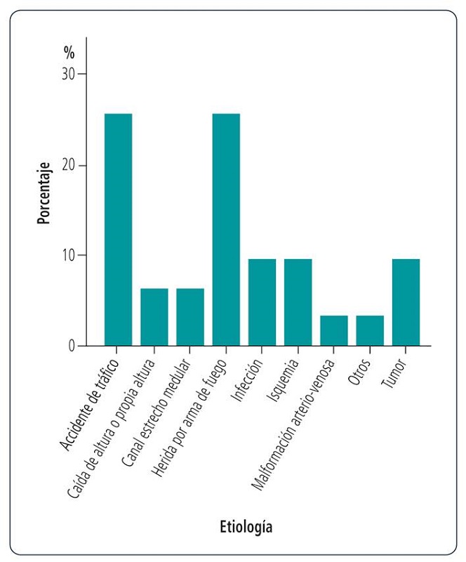 Cantidad de sujetos segn la etiologa de la lesin medular.