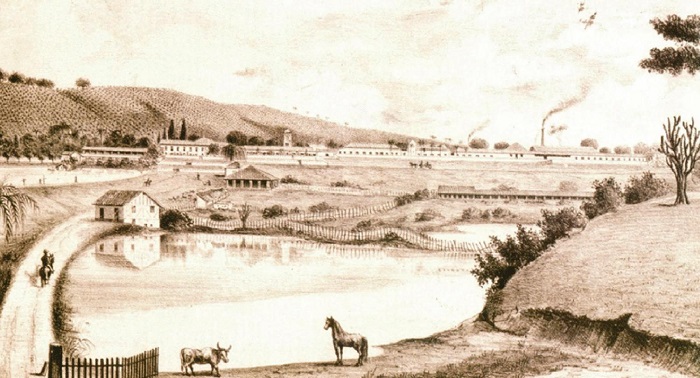 Panorama da Fazenda Ibicaba, século XIX