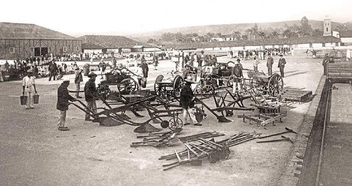 Escravizados e colonos no terreiro de café na Fazenda Ibicaba, século XIX (ao fundo, vê-se a torre do relógio e um conjunto de senzalas)
