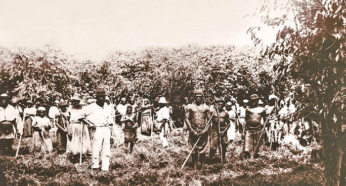 Escravizados no eito, Fazenda Ibicaba, século XIX