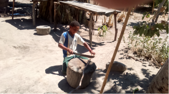 A habilidade para manejo dos instrumentos de uso cotidiano pode-se notar desde cedo. Aqui o foco &eacute; na prepara&ccedil;&atilde;o do pau que lhe permitir&aacute; montar a forquilha da arapuca rec&eacute;mconstru&iacute;da. Foto: Reinaldo Diniz. Agosto de 2016. Resid&ecirc;ncia do Sr. Domingos e Sra. Domingas (Bila), do Pablo, do Thiago e da Alessandra. V&atilde;o de Almas/GO.