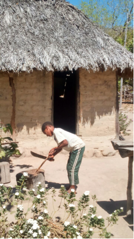 Nesta imagem &eacute; poss&iacute;vel observar a casa de adobe, o telhado de palha, a estrutura de madeira, o entorno da casa, com flores, jiraus e tocos de madeira. Foto: Reinaldo Diniz. Agosto de 2016. Resid&ecirc;ncia do Sr. Domingos e Sra. Domingas (Bila), do Pablo, do Thiago e da Alessandra. V&atilde;o de Almas/GO.