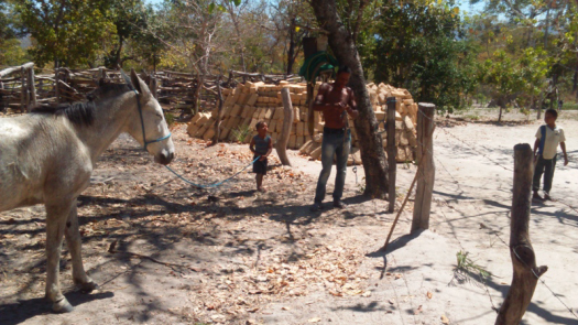 Ao fundo, os adobes feitos pela m&atilde;e e as crian&ccedil;as enquanto o pai trabalhava n cidade. Foto: Reinaldo Diniz. Agosto de 2016. Resid&ecirc;ncia do Sr. Domingos e Sra. Domingas (Bila), do Pablo, do Thiago e da Alessandra. V&atilde;o de Almas/GO.