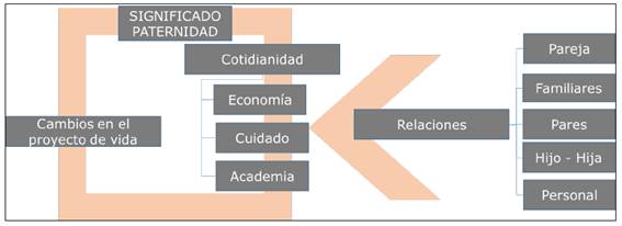 Categor&iacute;as de an&aacute;lisis para la comprensi&oacute;n de los significados de la paternidad en universitarios