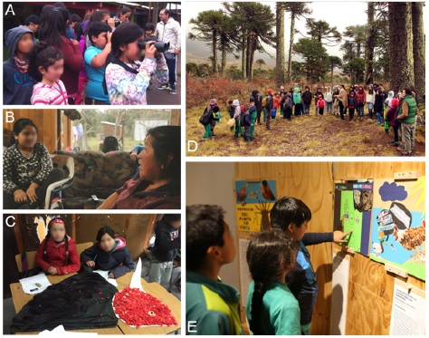 Imágenes del ciclo de cinco pasos del proyecto