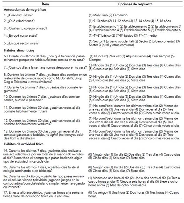 &Iacute;tems de la Encuesta comunal de alimentaci&oacute;n y actividad f&iacute;sica, Lautaro 2017