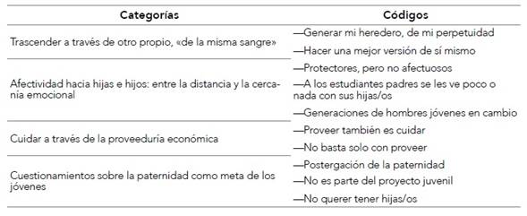 Categor&iacute;as y c&oacute;digos para representaciones de paternidad entre universitarias/os