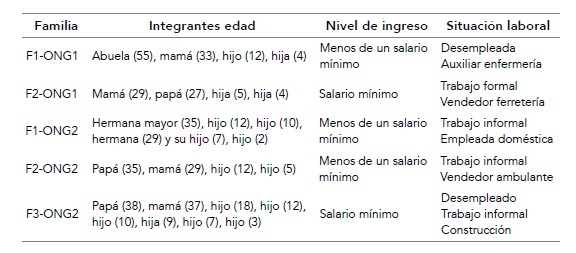 Características de las familias participantes por ONG