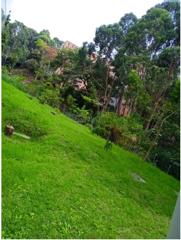 Zona verde de la sede central: &laquo;abajo&raquo;