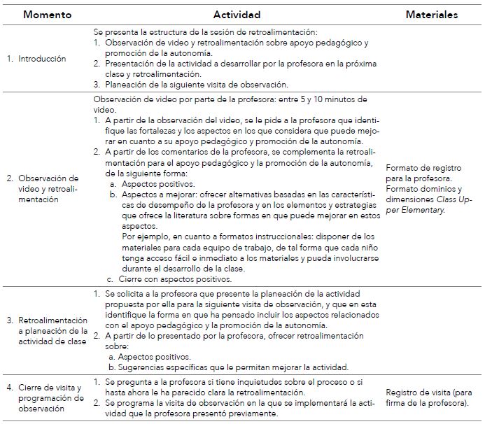 Protocolo de las sesiones de acompañamiento individual