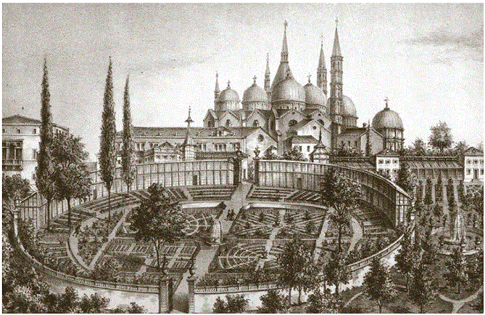 Andrea Tosini, &ldquo;Veduta Panoramica dell&rsquo;Orto Botanico in Padova&rdquo;, dibujo en vivo litografiado, en Antonio Ceni, Guida all&rsquo;Imp. Regio Orto botanico in Padova, Padua, A. Bianchi, 1854.